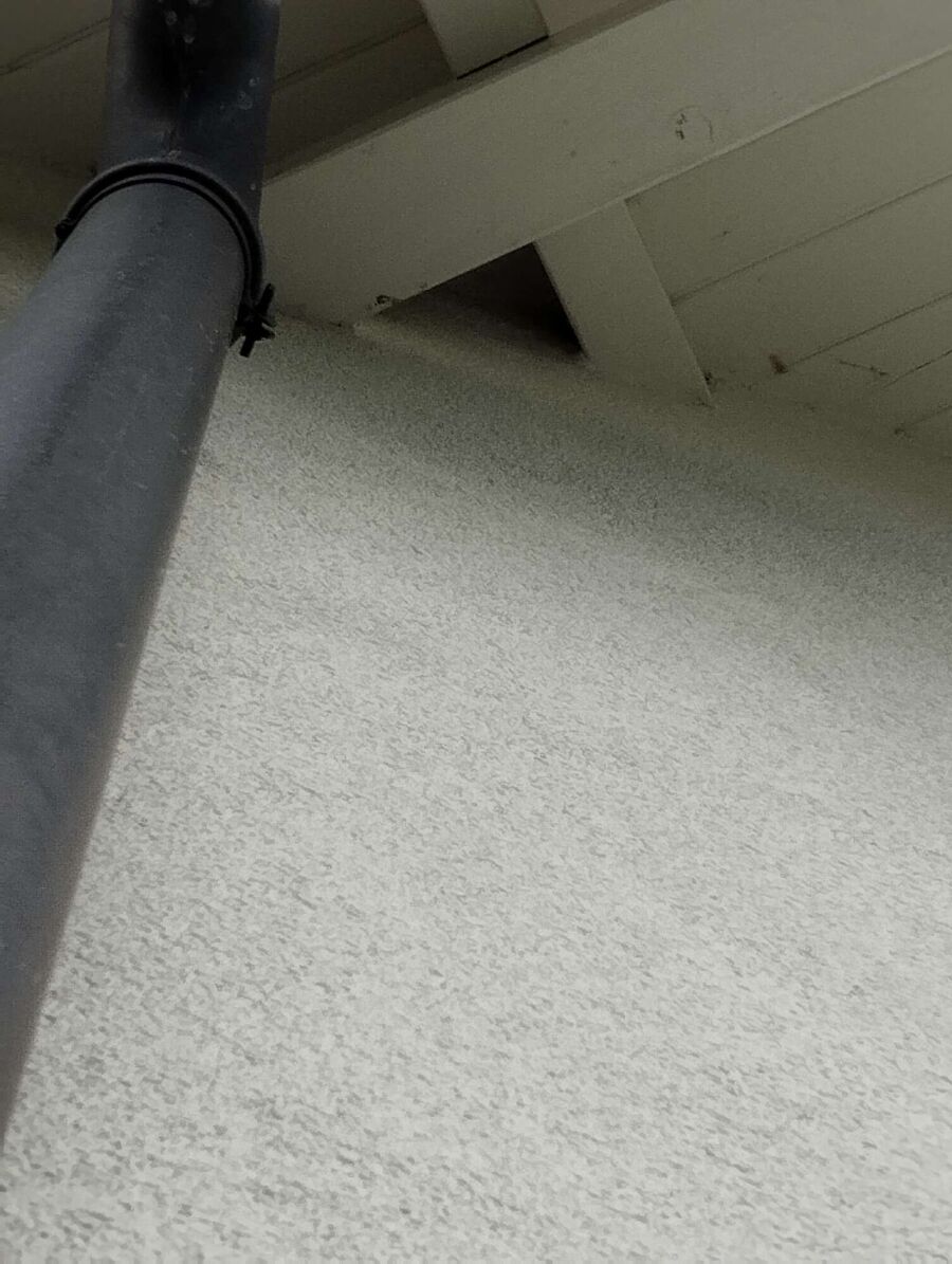 Bienen umsiedeln &  Bienennest entfernen 