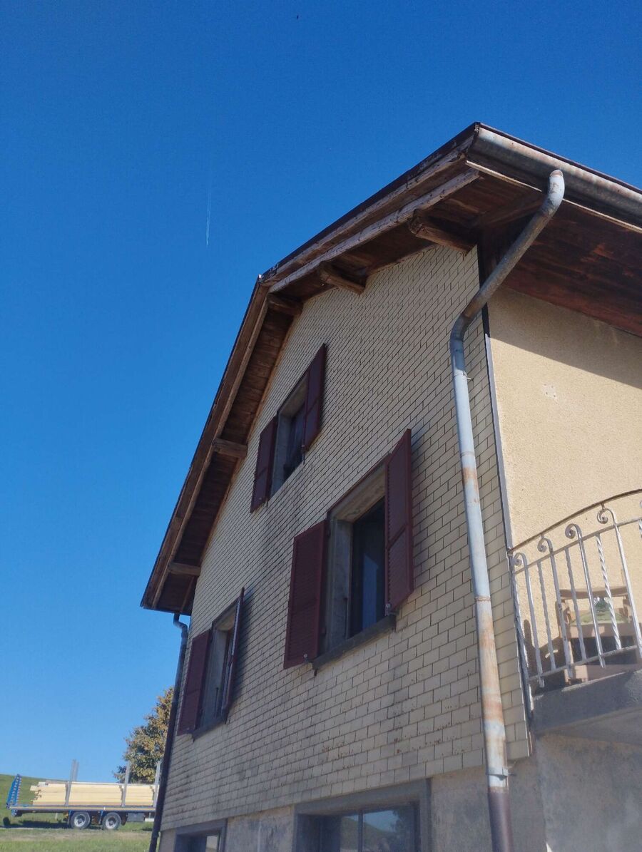  Bienennest entfernen.jpeg