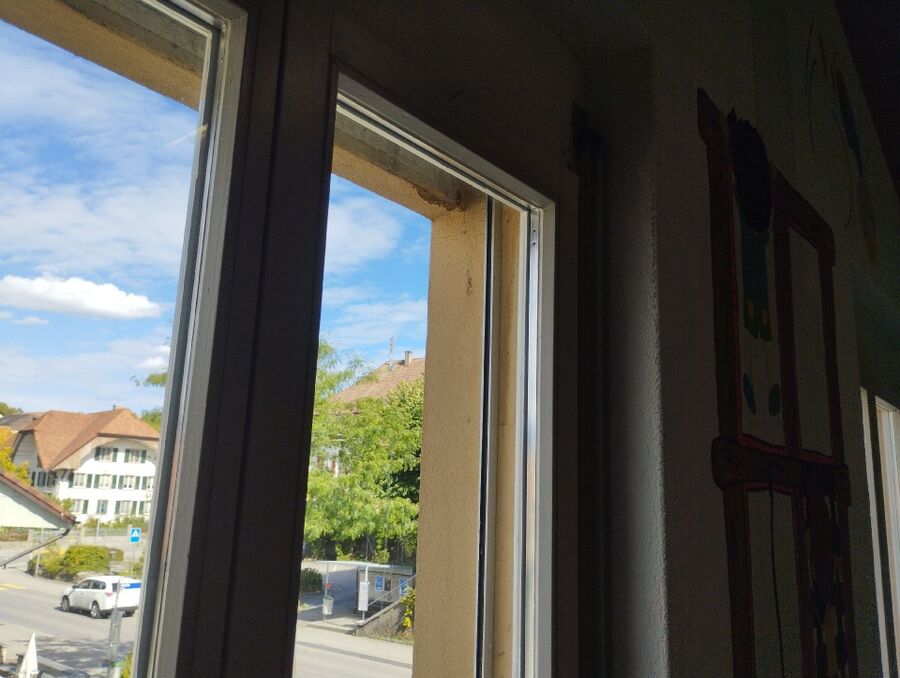  Bienennest entfernen.jpeg