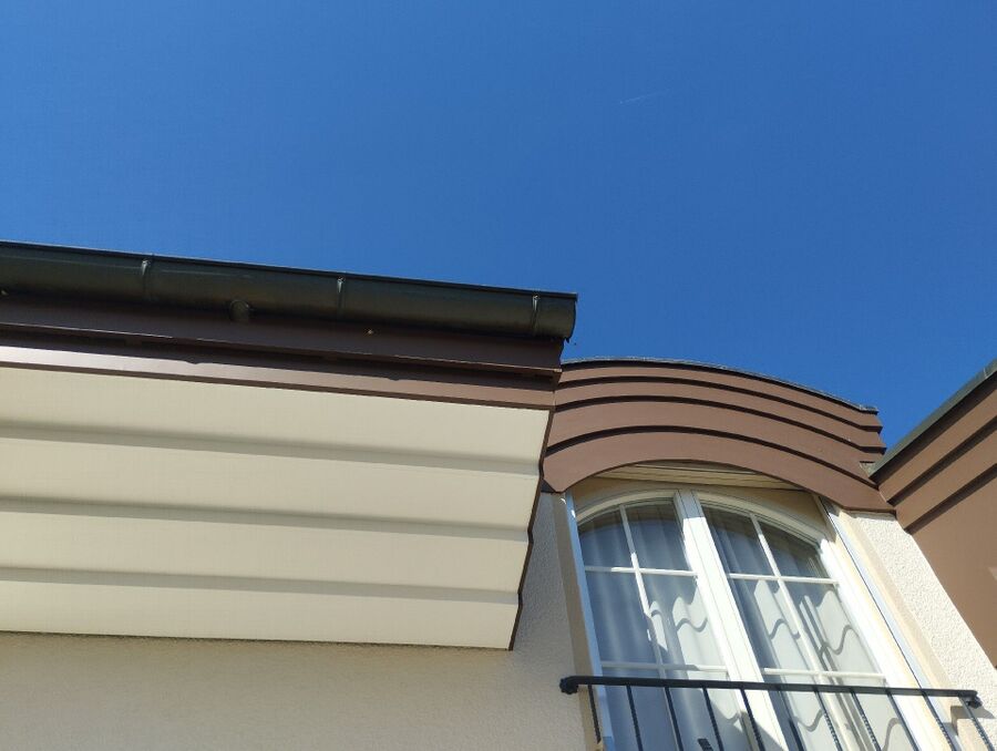 Bienen umsiedeln &  Bienennest entfernen 