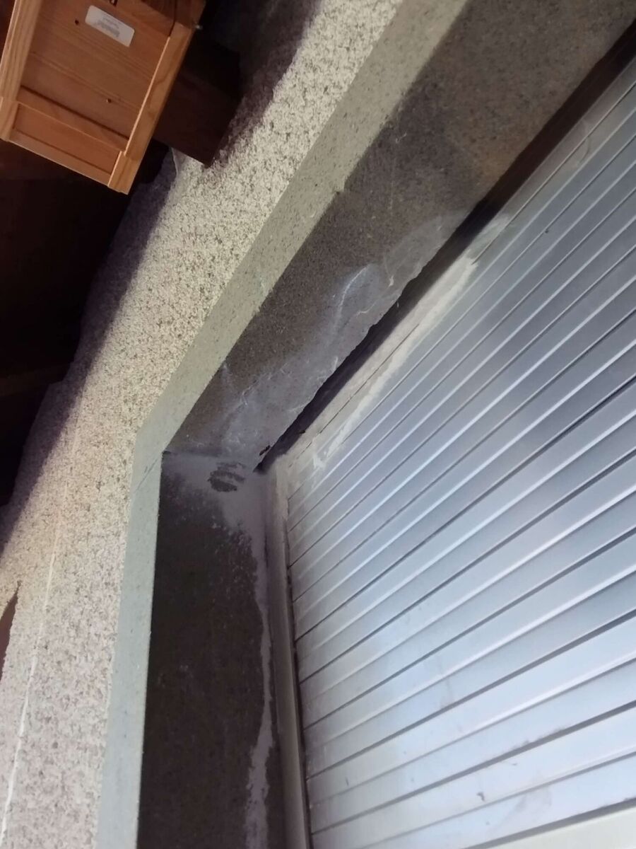  Bienennest entfernen.jpeg