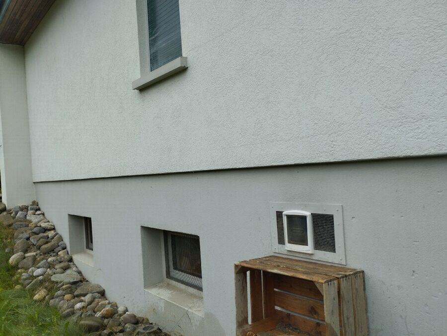  Bienennest entfernen