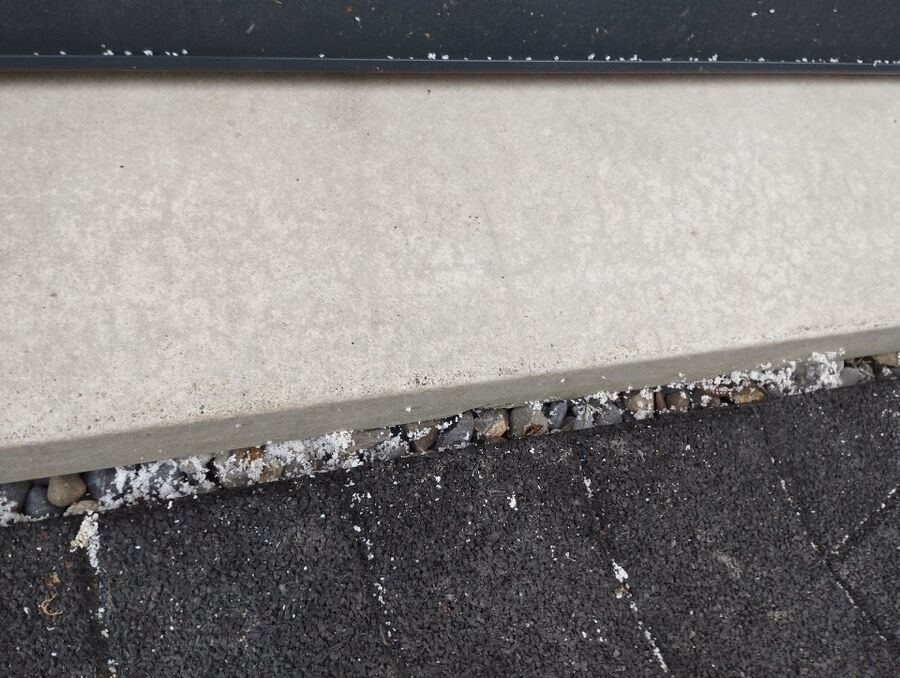 Bienen umsiedeln &  Bienennest entfernen 