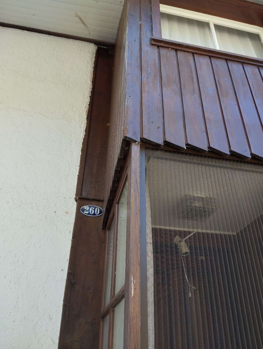  Bienennest entfernen