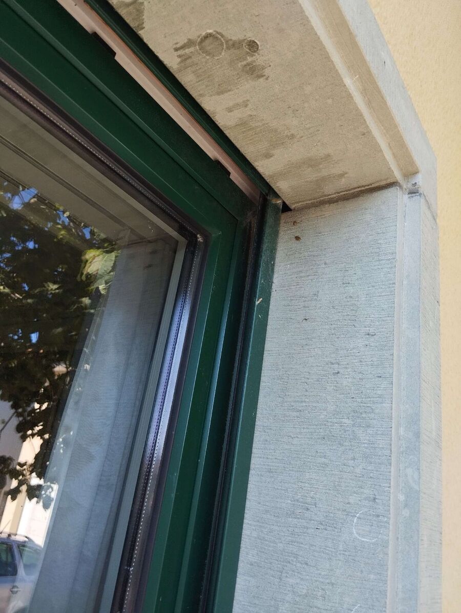 Bienen umsiedeln &  Bienennest entfernen 