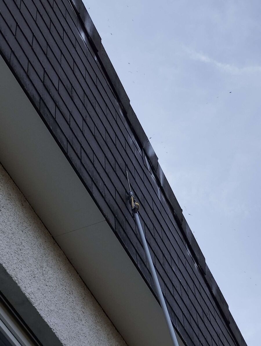  Bienennest entfernen.jpeg
