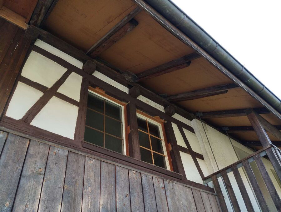 Bienen umsiedeln &  Bienennest entfernen 