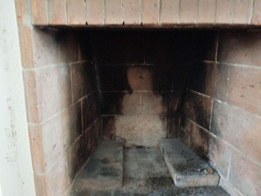 Bienen umsiedeln &  Bienennest entfernen 