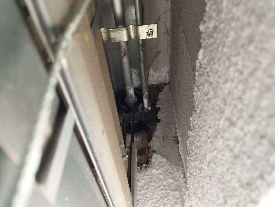  Bienennest entfernen