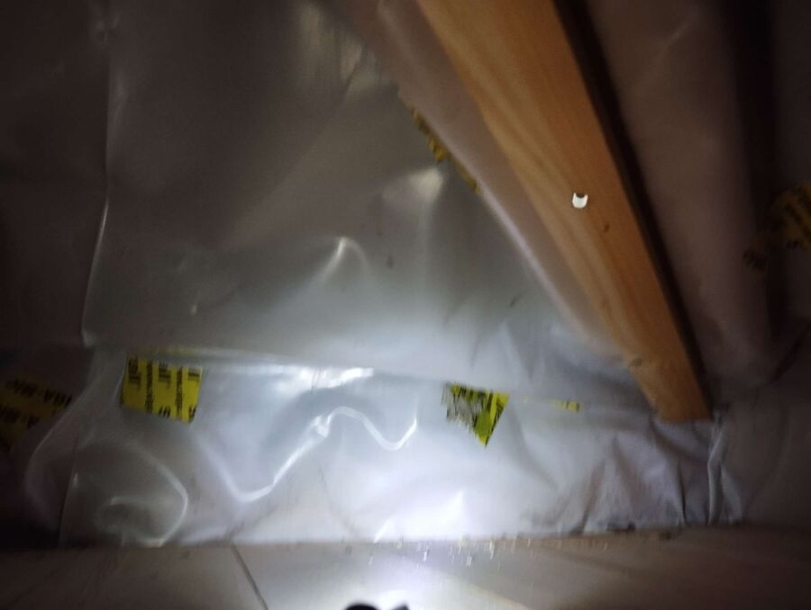  Bienennest entfernen.jpeg