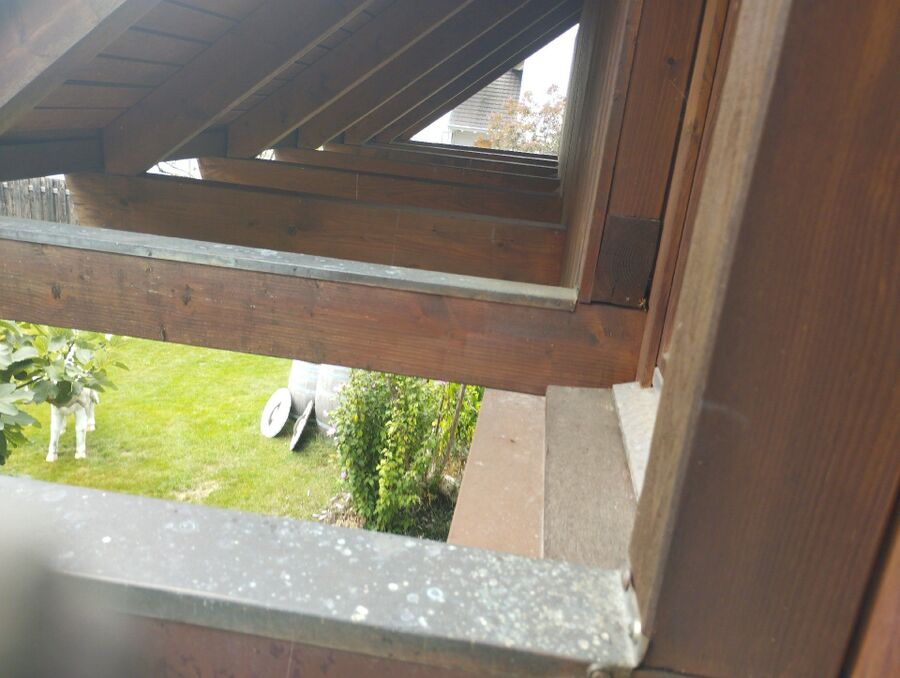 Bienen umsiedeln &  Bienennest entfernen 