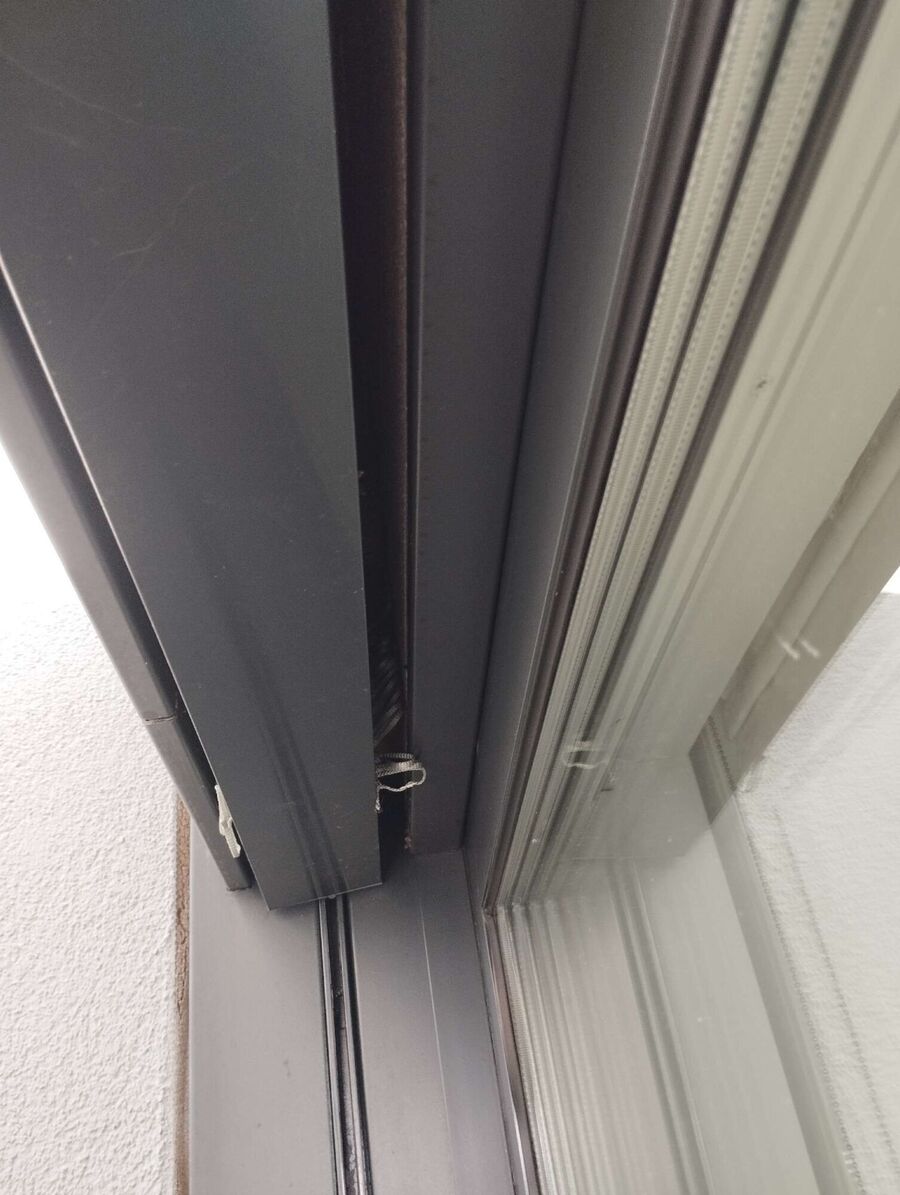  Bienennest entfernen.jpeg