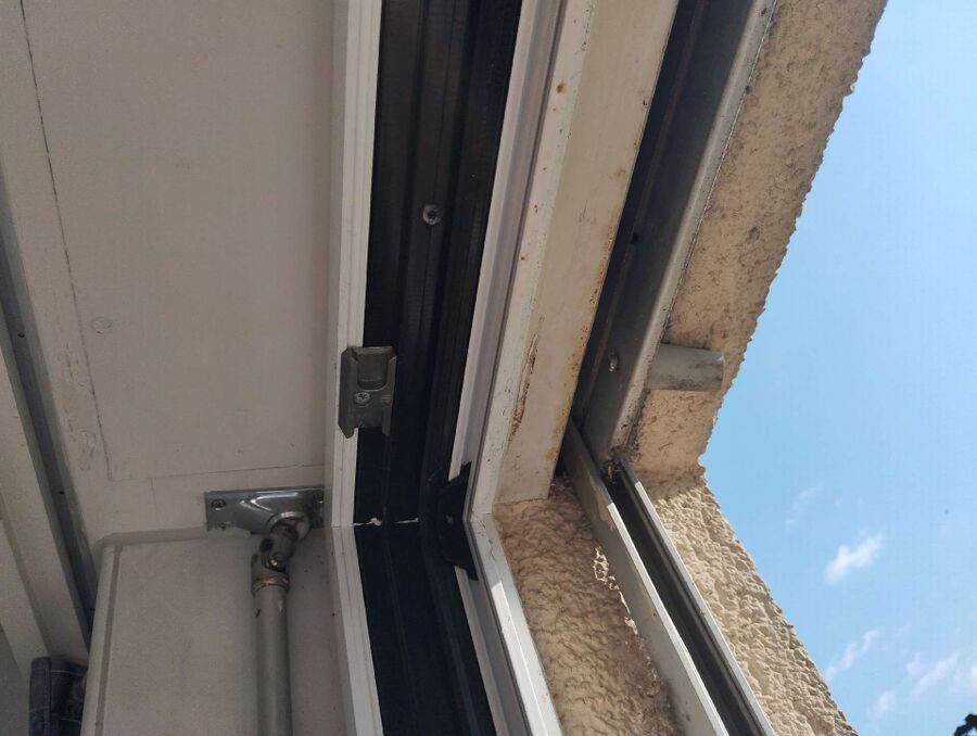  Bienennest entfernen