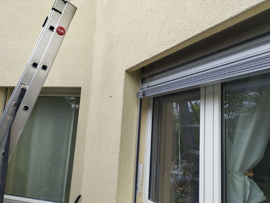  Bienennest entfernen.jpeg