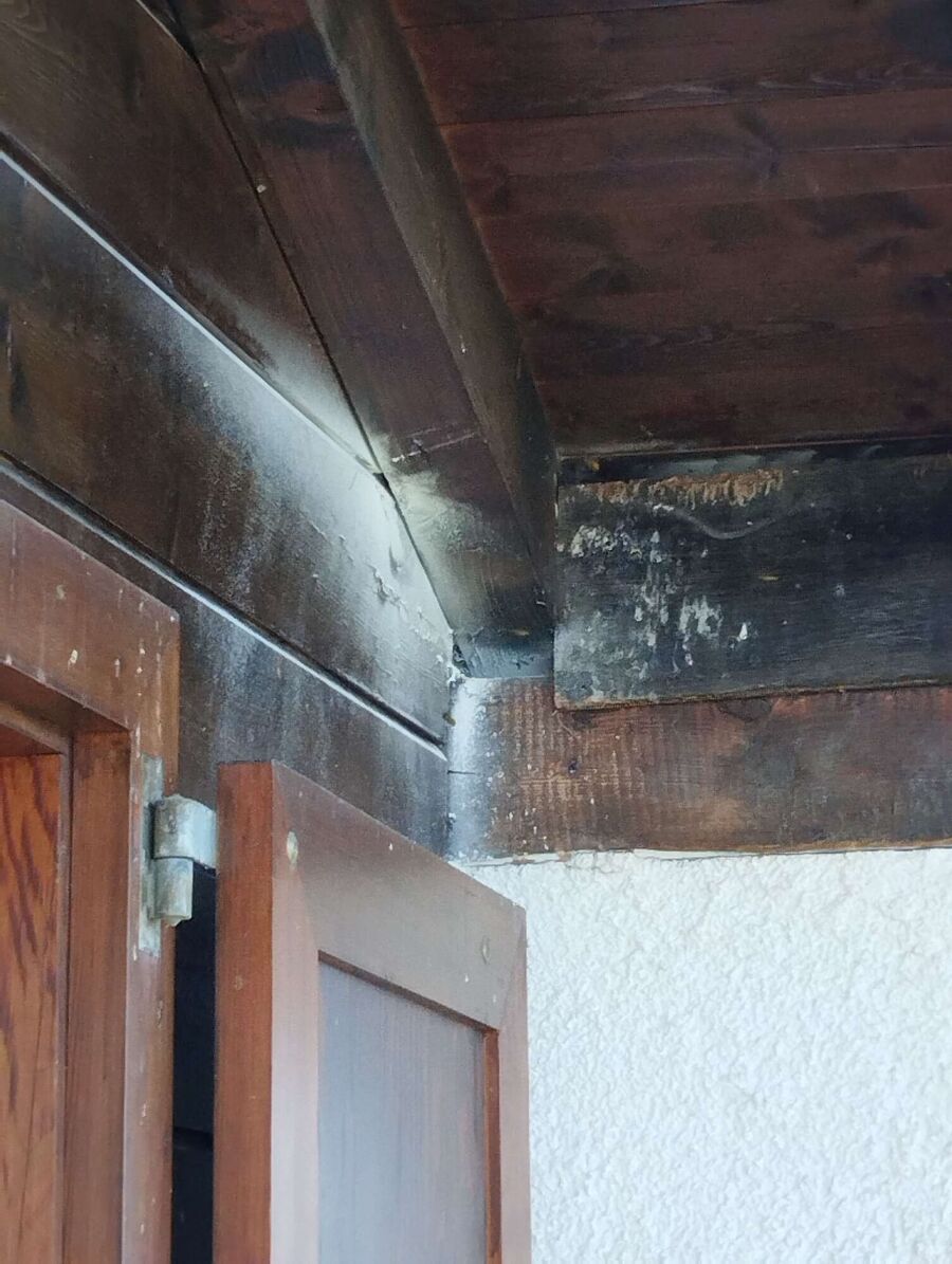  Bienennest entfernen