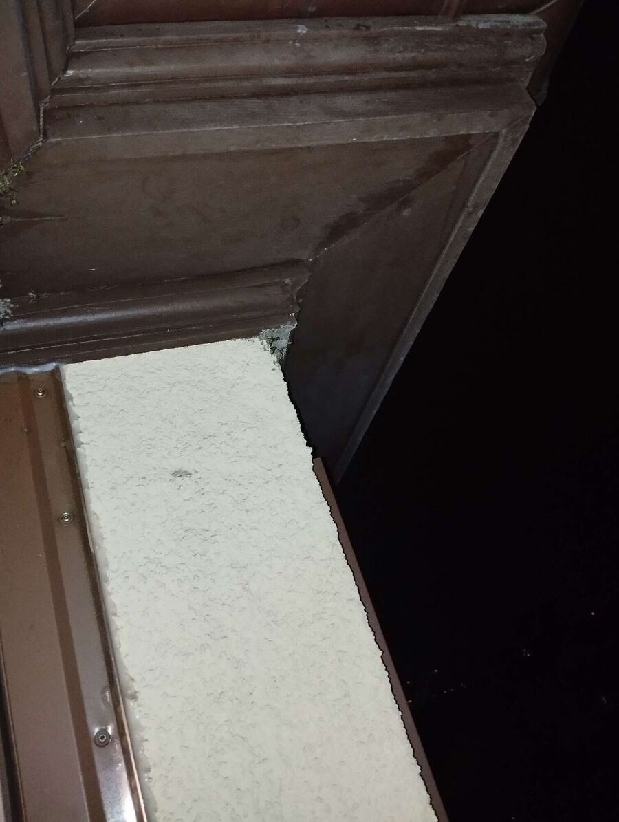  Bienennest entfernen.jpeg