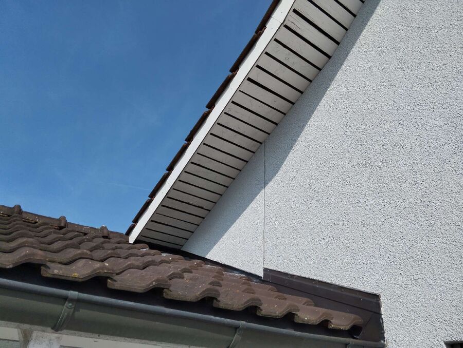  Bienennest entfernen