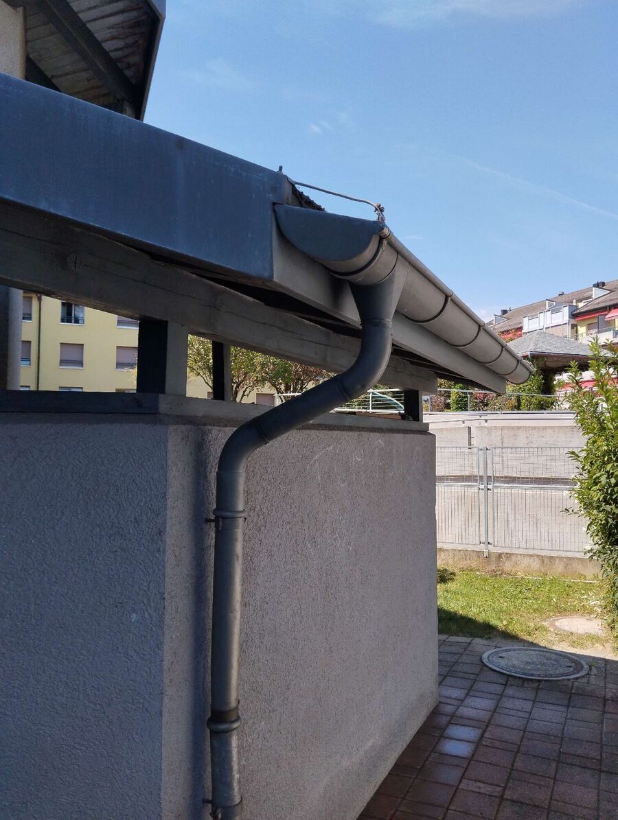  Bienennest entfernen