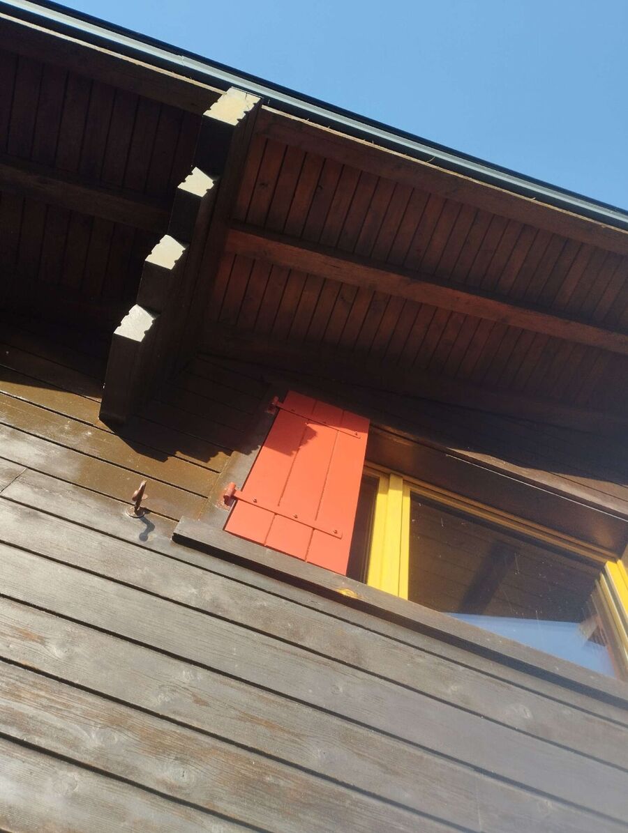  Bienennest entfernen