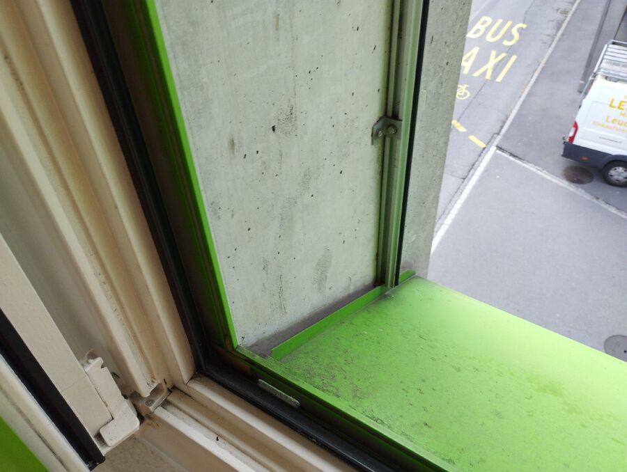  Bienennest entfernen.jpeg