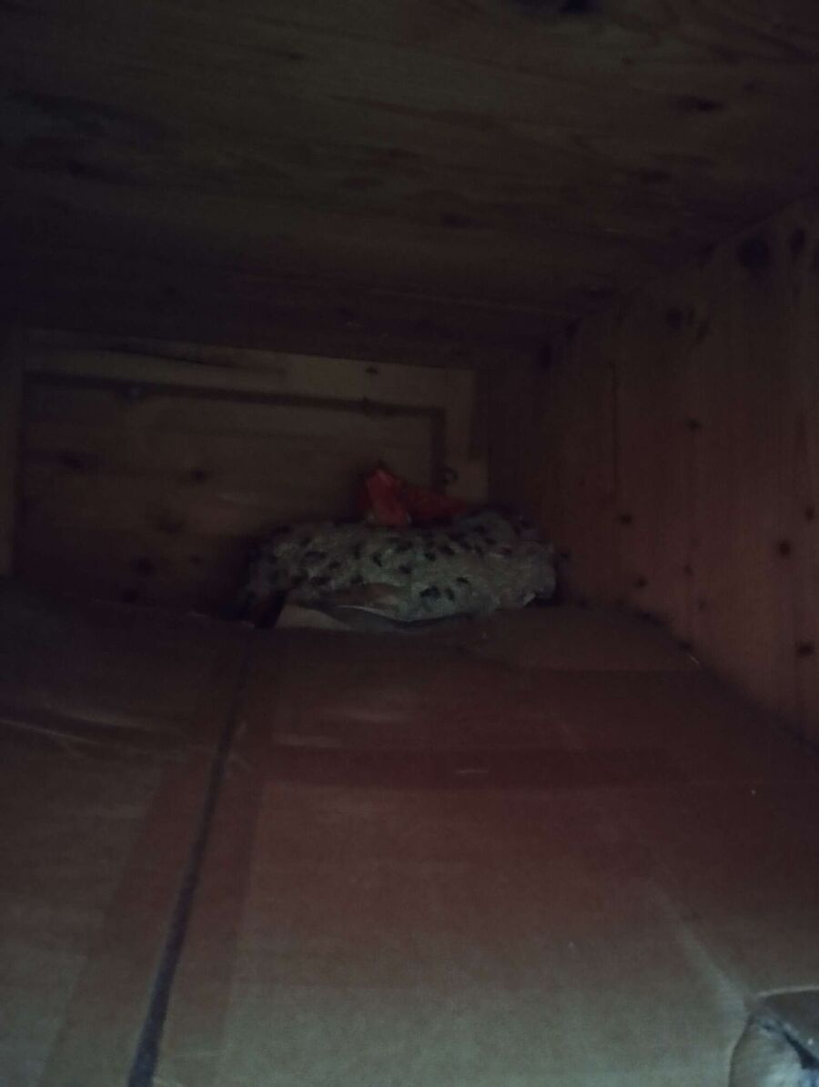  Bienennest entfernen