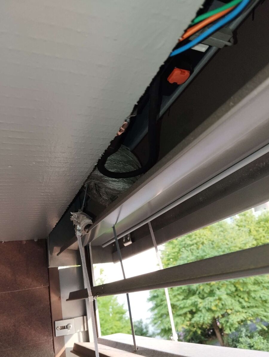  Bienennest entfernen