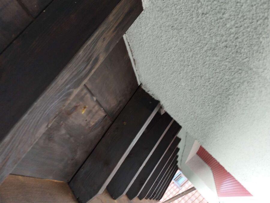 Bienen umsiedeln &  Bienennest entfernen 