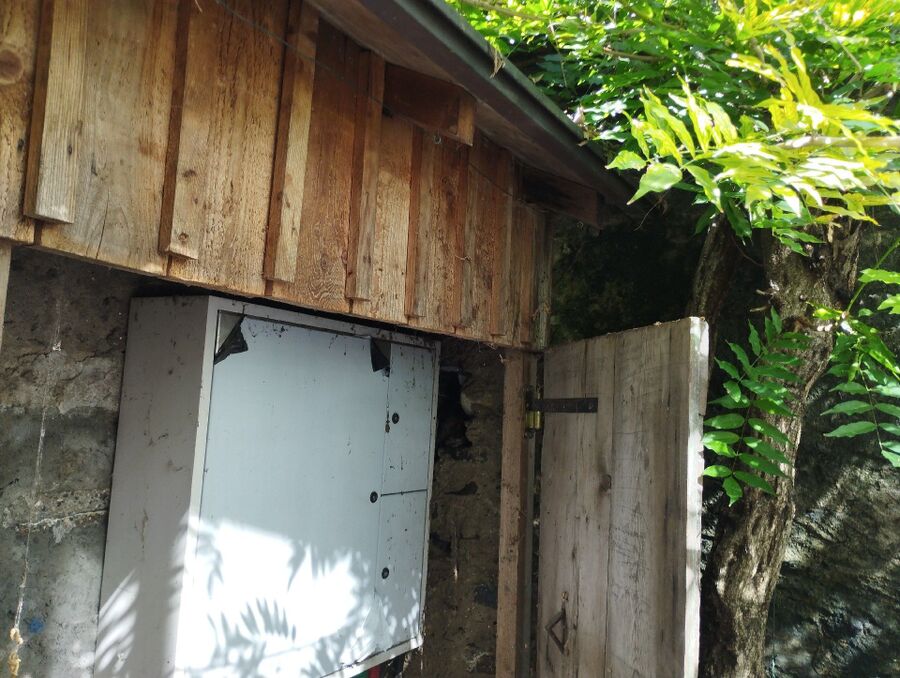 Bienen umsiedeln &  Bienennest entfernen 