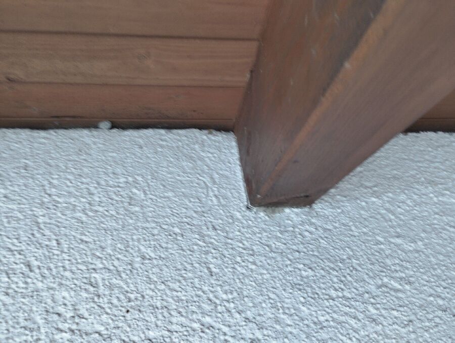  Bienennest entfernen.jpeg