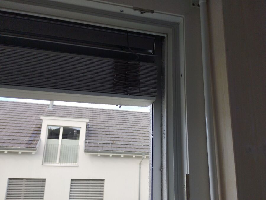  Bienennest entfernen