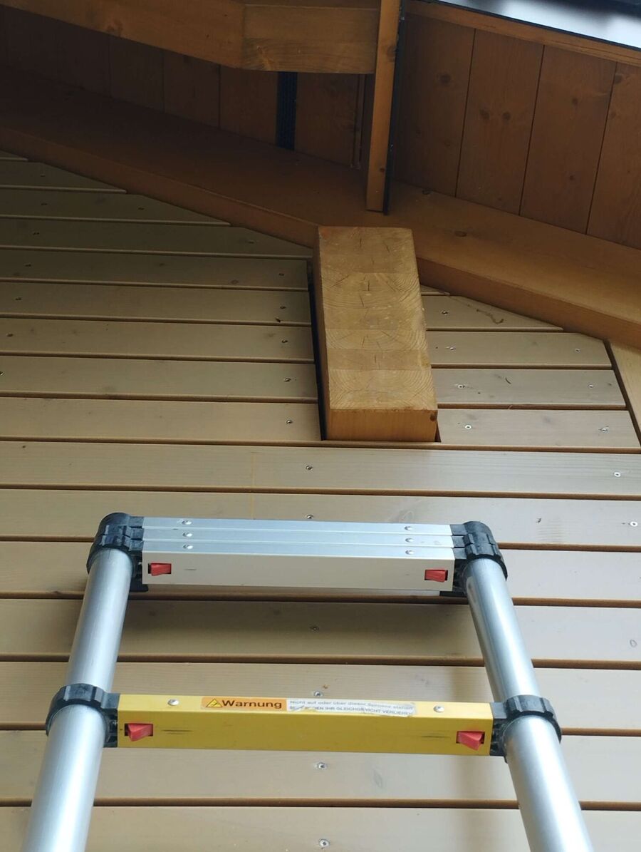  Bienennest entfernen.jpeg