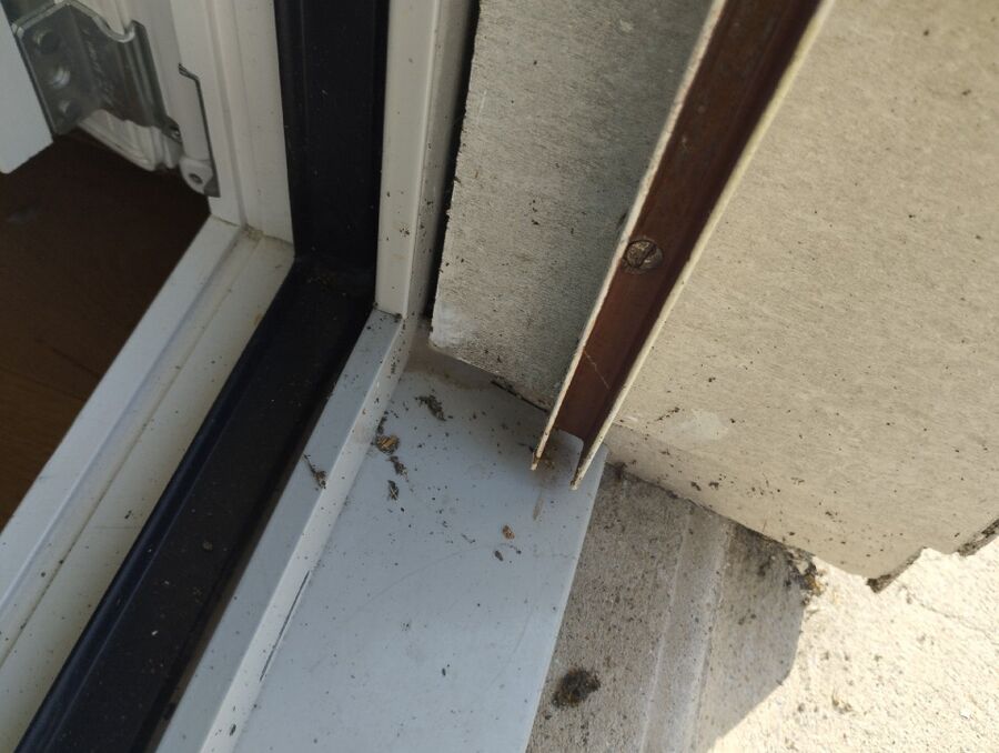  Bienennest entfernen.jpeg