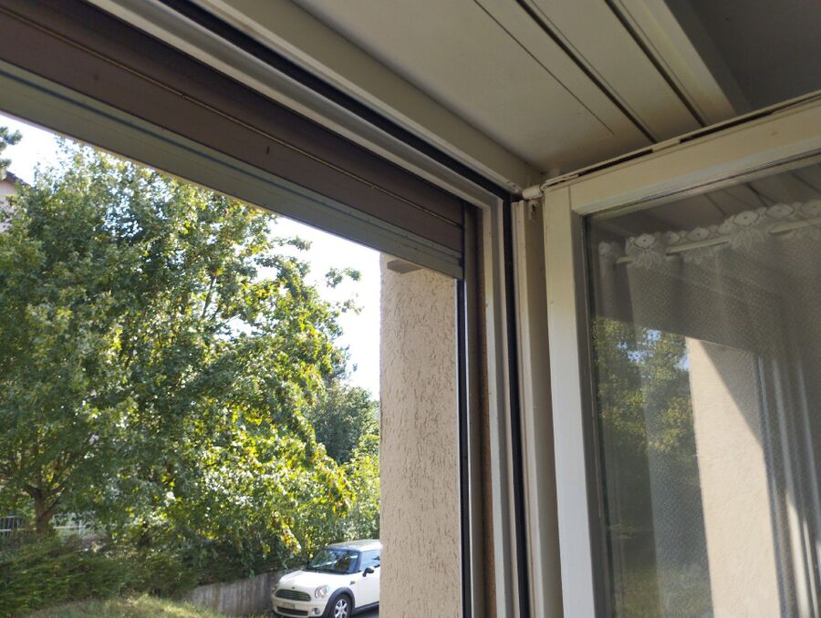  Bienennest entfernen