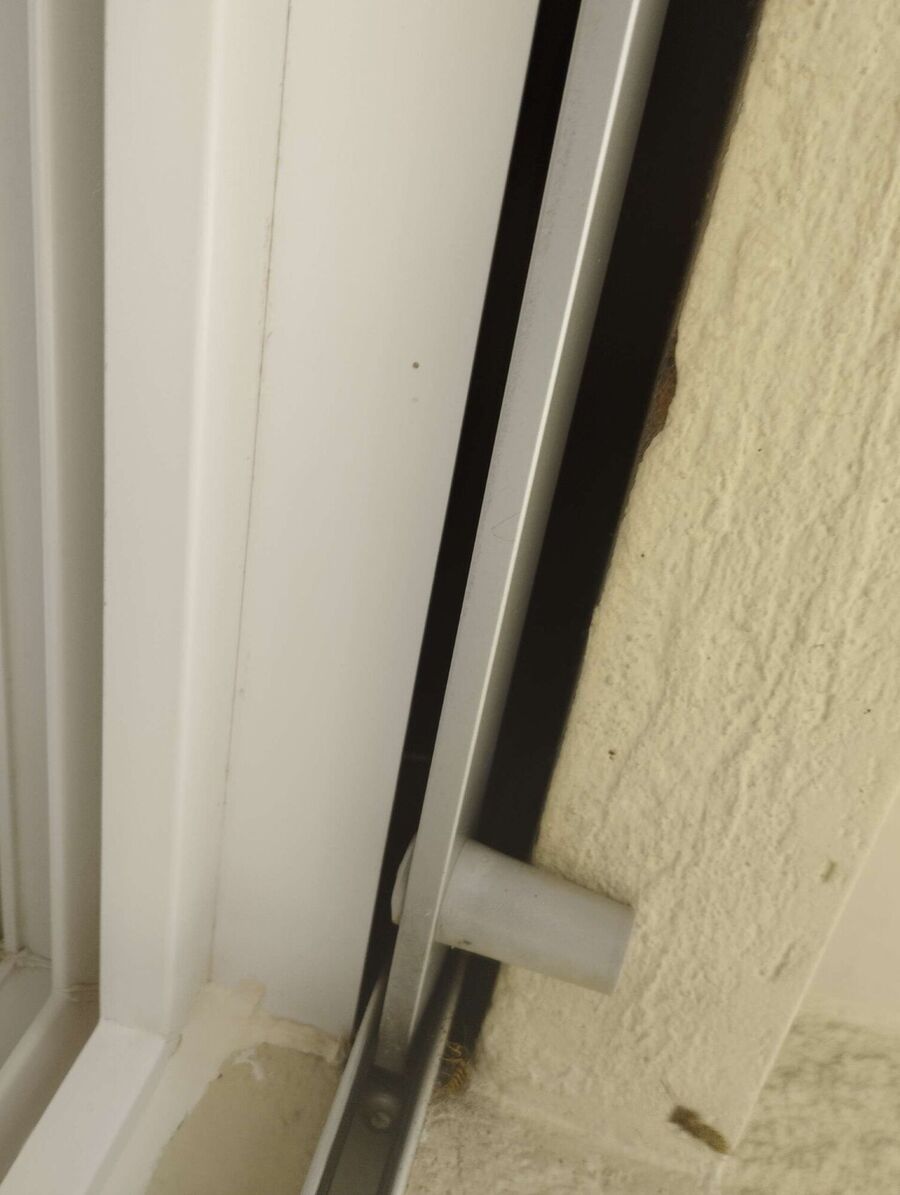  Bienennest entfernen.jpeg