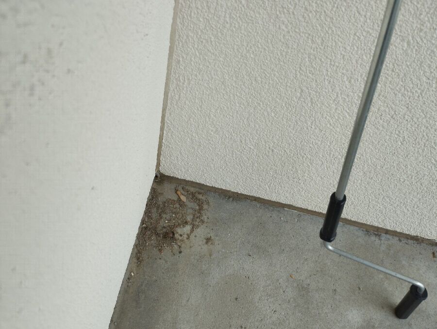  Bienennest entfernen.jpeg