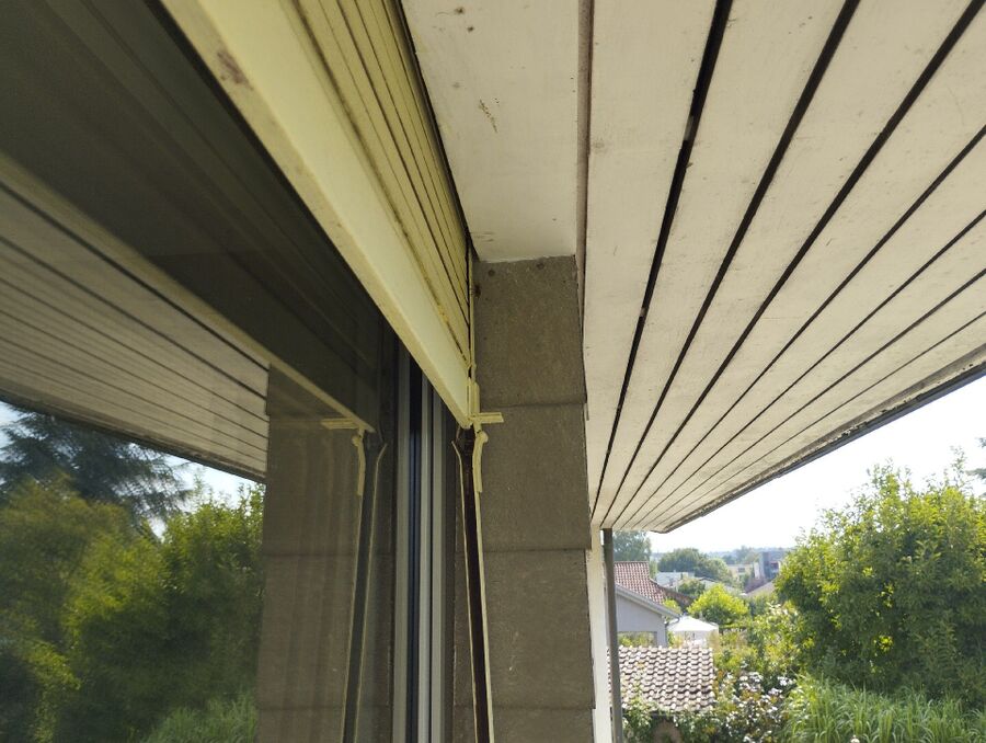 Bienen umsiedeln &  Bienennest entfernen 