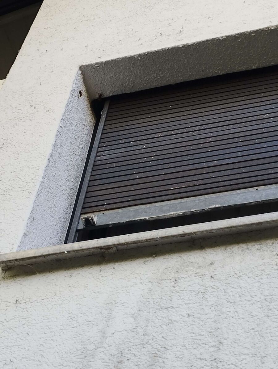  Bienennest entfernen