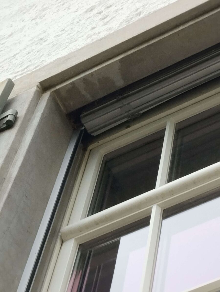 Bienen umsiedeln &  Bienennest entfernen 