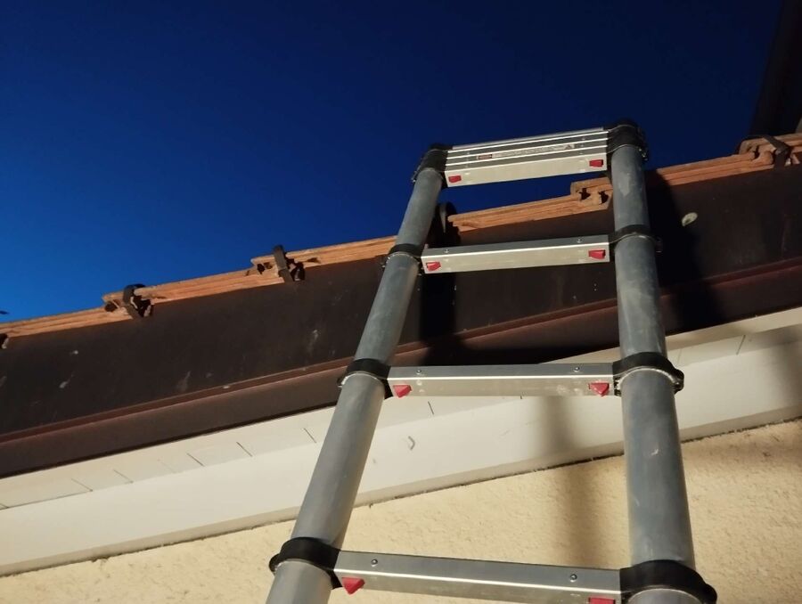  Bienennest entfernen