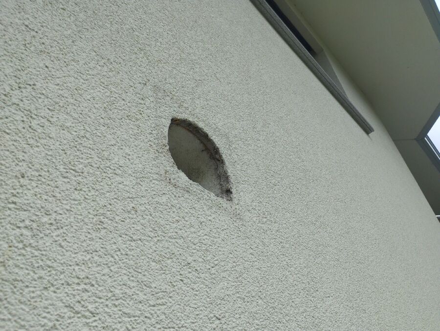  Bienennest entfernen.jpeg