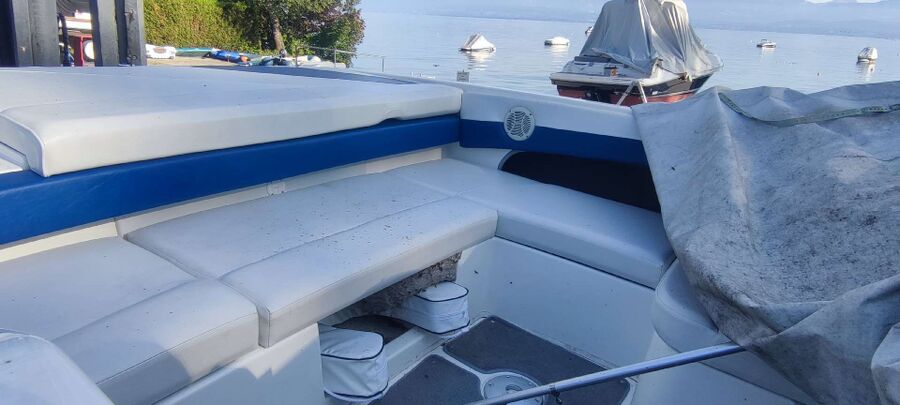  Bienennest entfernen