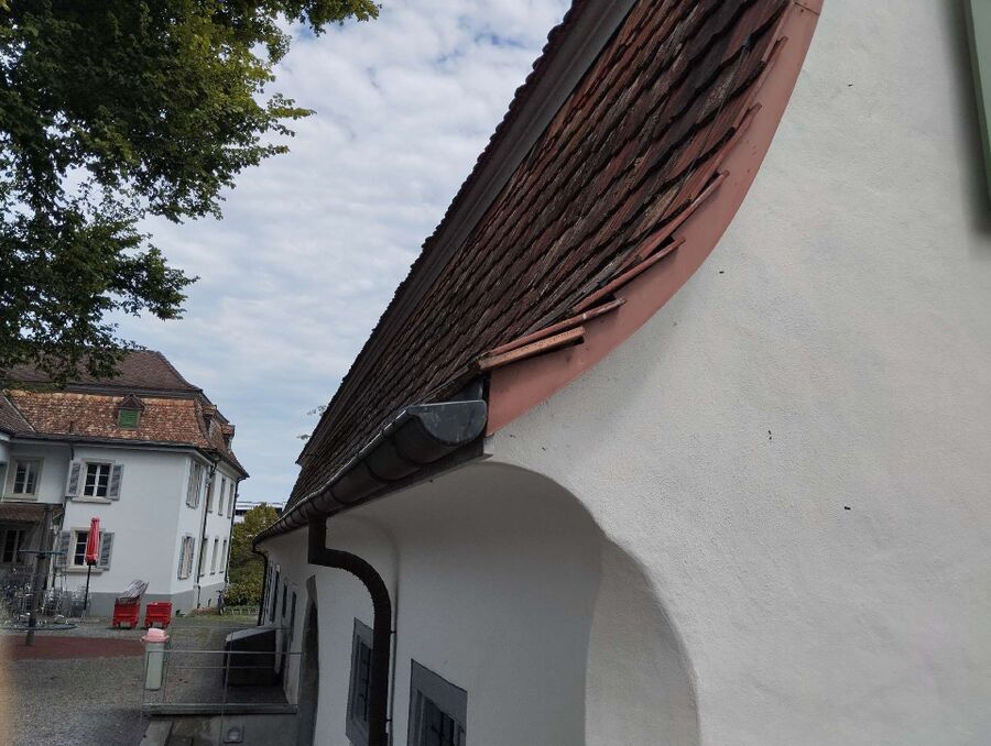 Bienen umsiedeln &  Bienennest entfernen 