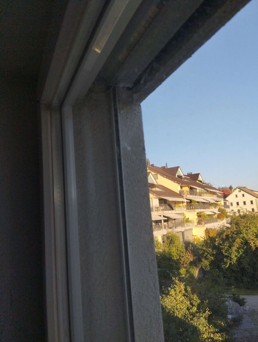  Bienennest entfernen