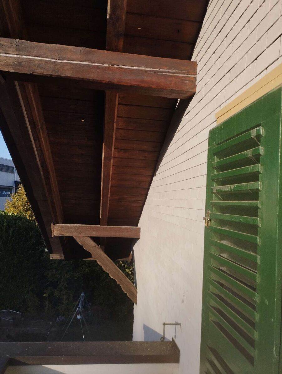 Bienen umsiedeln &  Bienennest entfernen 