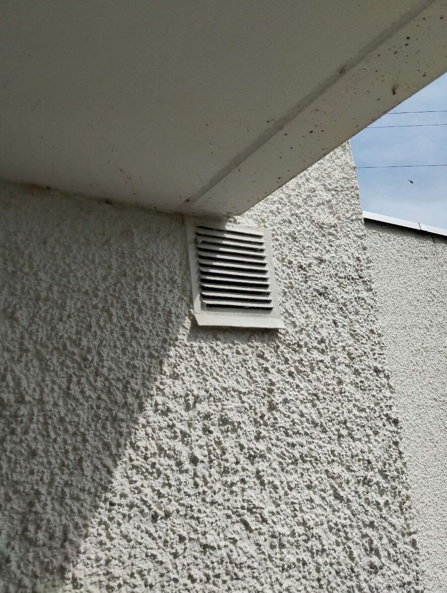  Bienennest entfernen.jpeg