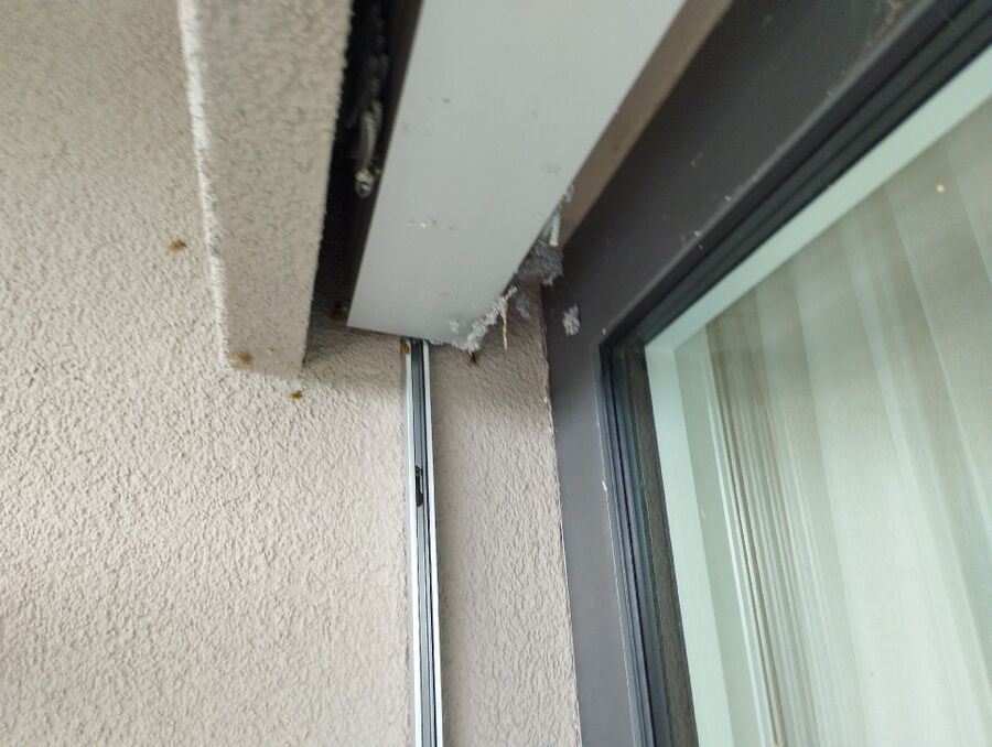  Bienennest entfernen