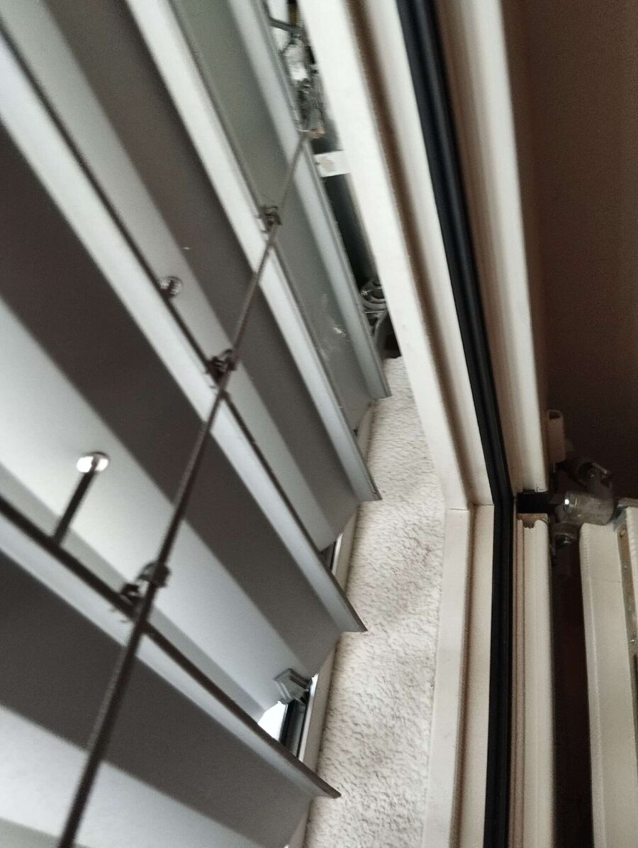 Bienen umsiedeln &  Bienennest entfernen 