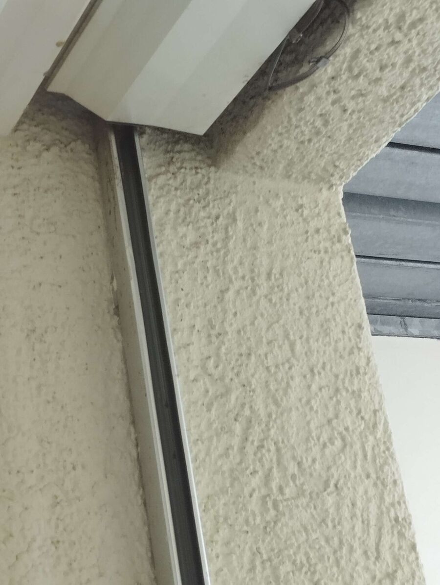 Bienen umsiedeln &  Bienennest entfernen 