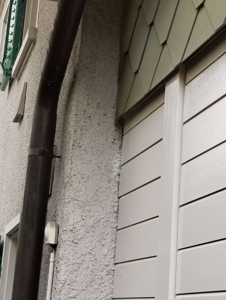  Bienennest entfernen