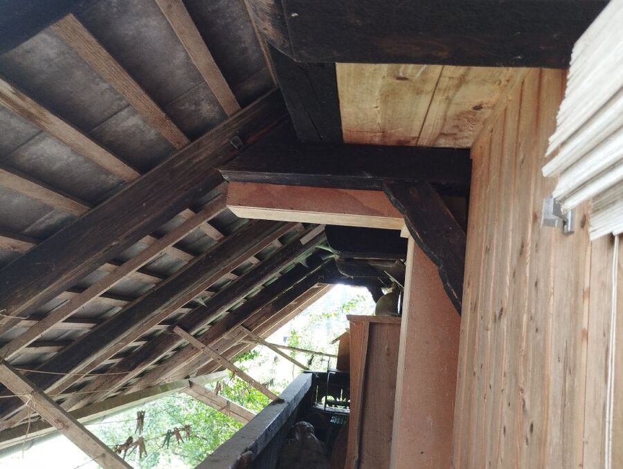  Bienennest entfernen